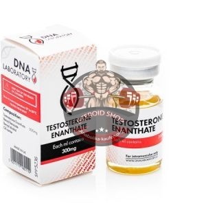 Testosteron DNA